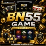 BN55