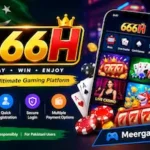 666H Game
