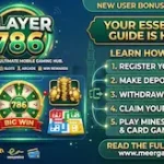 Player786 Game